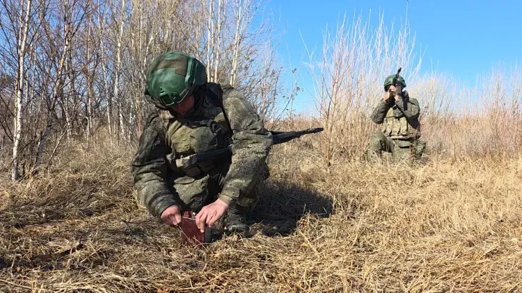 Тротиловая шашка и шест: нестандартный способ ликвидации мин отработали амурские саперы