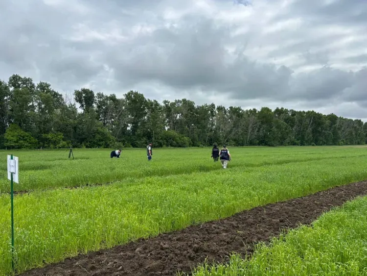 Лучшие повар, сварщик и агроном представят Приамурье на федеральном этапе Всероссийского конкурса «Лучший по профессии»