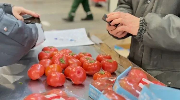 Тапиока, чай, овощи: что везли китайские фуры в Приамурье в этом году