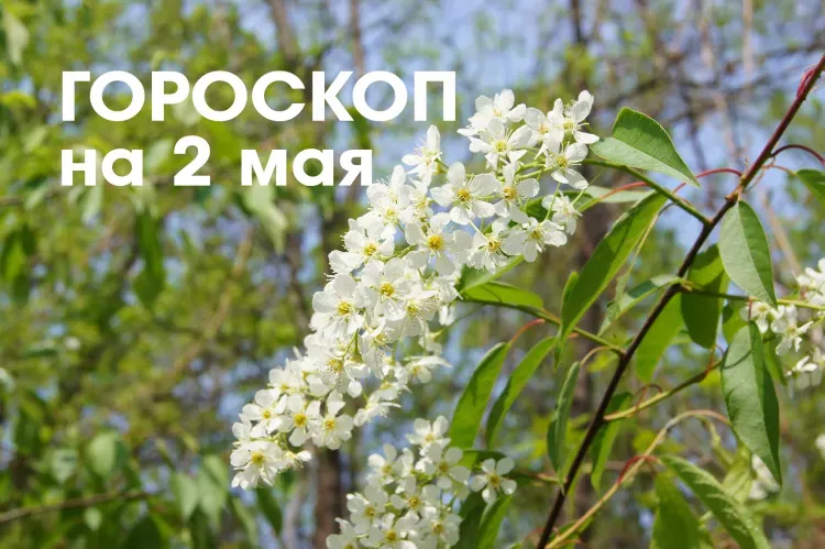 Гороскоп на 2 мая: убывающая Луна в знаке Скорпион дарит гармонию и спокойствие, можно отдохнуть от напряженных и активных действий