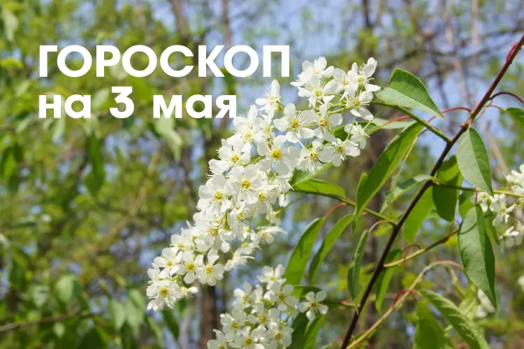 Гороскоп на 3 мая: убывающая Луна в знаке Скорпион и Стрелец подарит общение, радость, дружеские встречи, яркие знакомства и запоминающиеся свидания