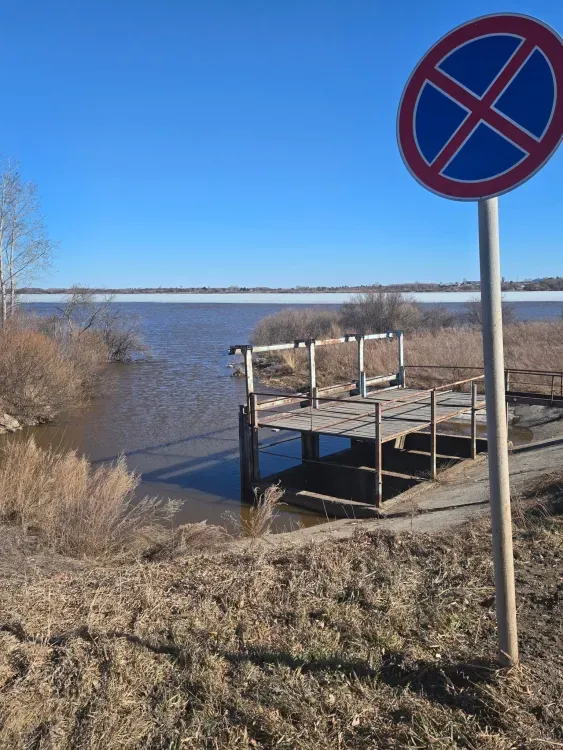 Жители Тамбовки: «Наше водохранилище уничтожается на глазах!»