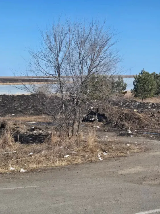 Жители Тамбовки: «Наше водохранилище уничтожается на глазах!»