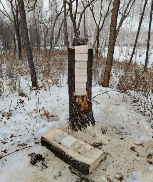 Ремонт «столовых» для животных начался в амурских заказниках