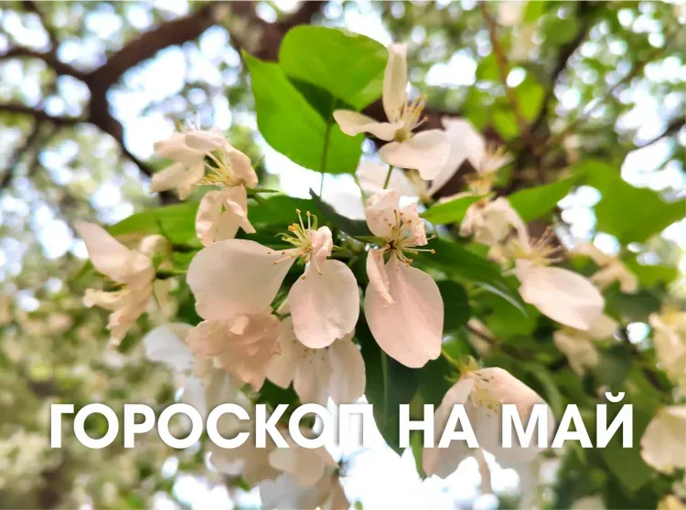 Гороскоп на май 2026 года: месяц окажется особенно ярким и насыщенным в эмоциональном плане для всех знаков зодиака