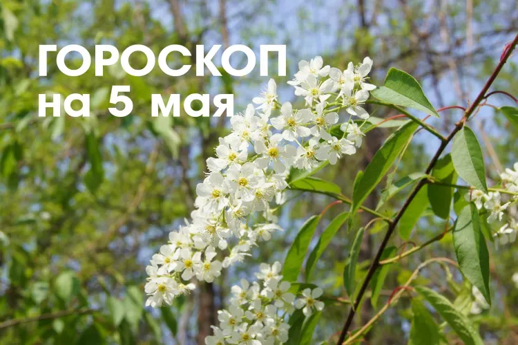 Гороскоп на 5 мая: убывающая Луна в знаке Стрелец и Козерог - это время очищения, трансформации и освобождения от всего, что больше не служит вашему благу