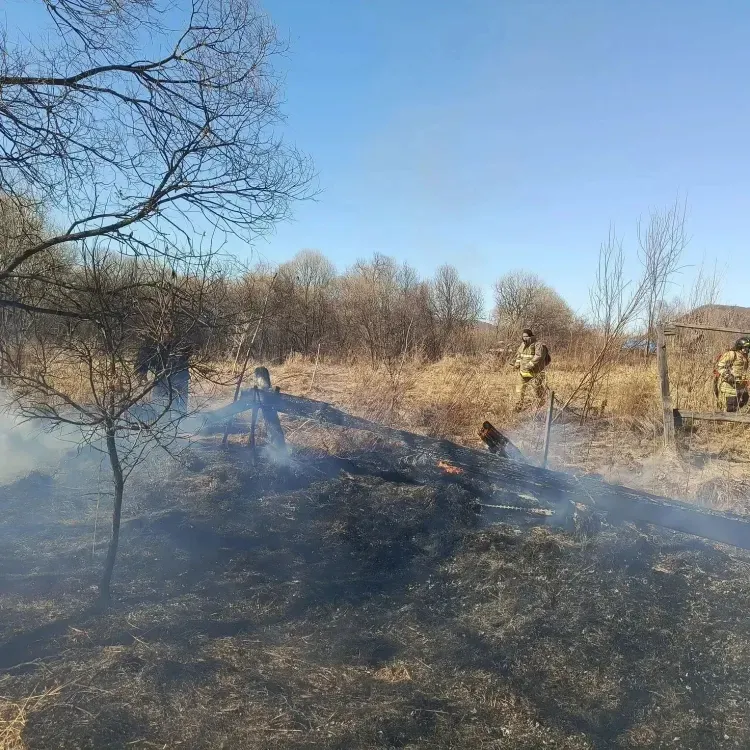  Жилые дома уничтожил природный огонь в Архаринском округе