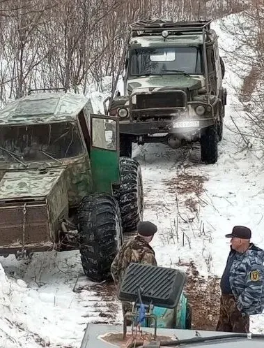 Уголовное дело заведено на компанию, незаконно прокладывавшую дорогу через природный заказник