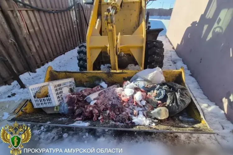 Убой скота проводили негуманным способом в кооперативе в Приамурье