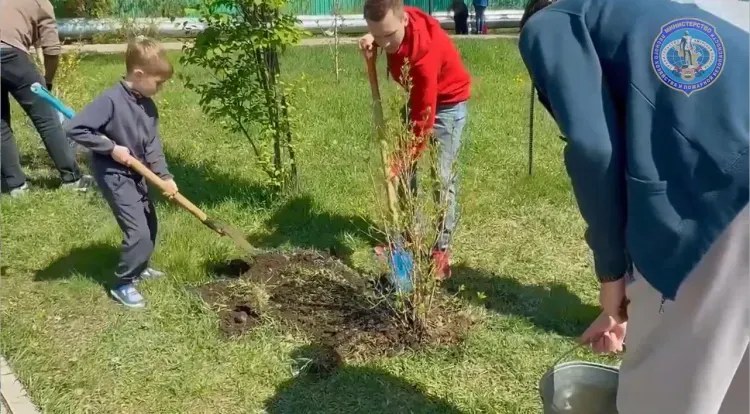Число памятных деревьев выросло в Приамурье