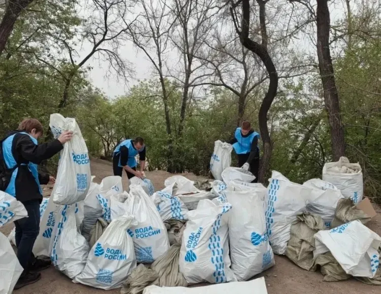 Доброе дело: число желающих очистить берега в Приамурье заметно выросло
