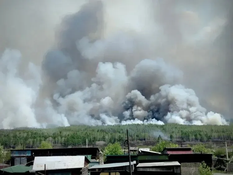 Крупный лесной пожар потушили рядом с поселком в Приамурье
