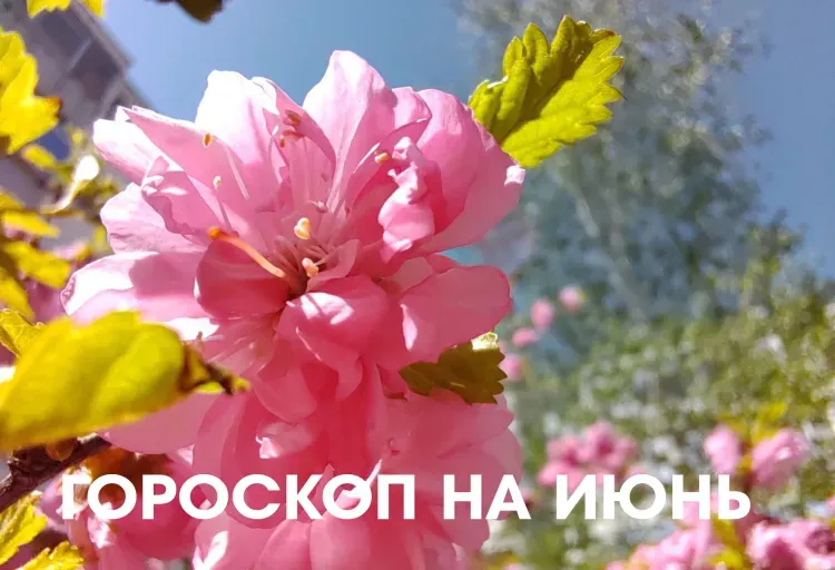 Гороскоп на июнь 2026 года: месяц открывает возможность для новых начинаний, укрепления веры в собственные силы и решительных шагов к изменениям