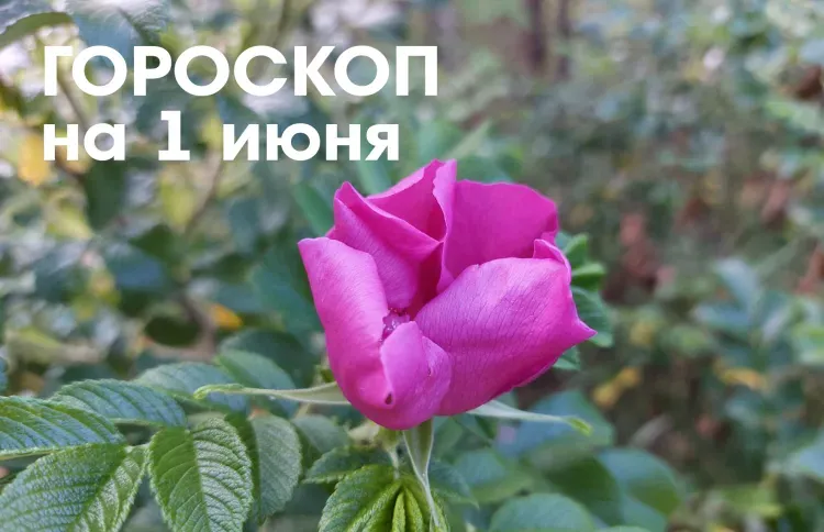 Гороскоп на 1 июня 2026 года: убывающая Луна в знаке Стрелец - это чистый, светлый, спокойный день
