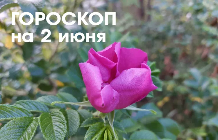 Гороскоп на 2 июня 2026 года: убывающая Луна в знаке Стрелец и Козерог - день общения, радости, дружеских встреч, ярких знакомств и запоминающихся свиданий