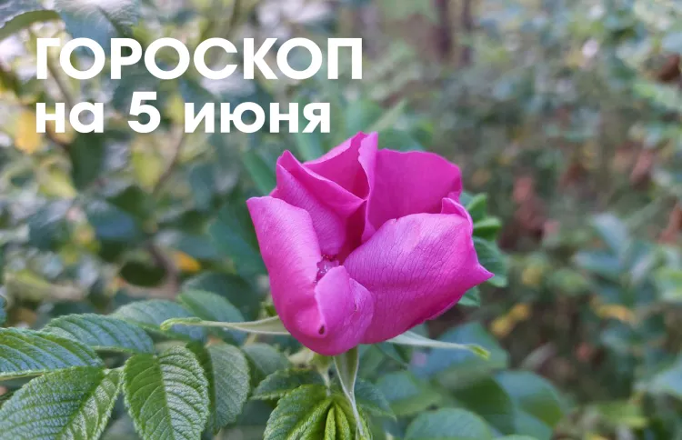 Гороскоп на 5 июня 2026 года: убывающая Луна в Водолее - в этот день нужно осторожно тратить силы