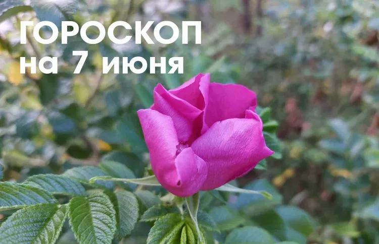 Гороскоп на 7 июня: убывающая Луна в Рыбах - в этот день нужно раздать долги и выполнить старые обещания
