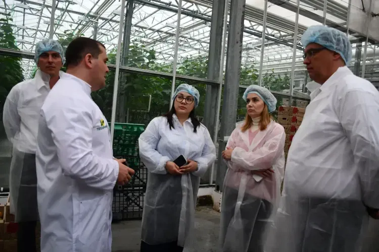 Тепличный комплекс и музыкальная библиотека: гостей из Башкортостана встретили в Благовещенском округе