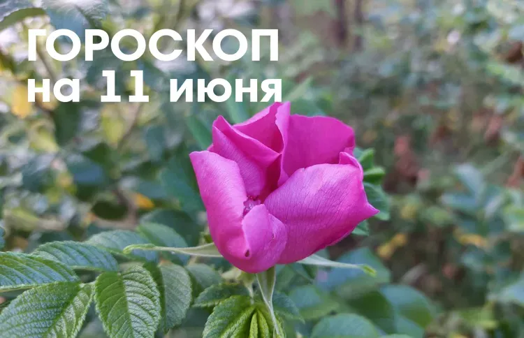 Гороскоп на 11 июня 2026 года: убывающая Луна в Овне - неблагоприятное время для любых начинаний и важных дел