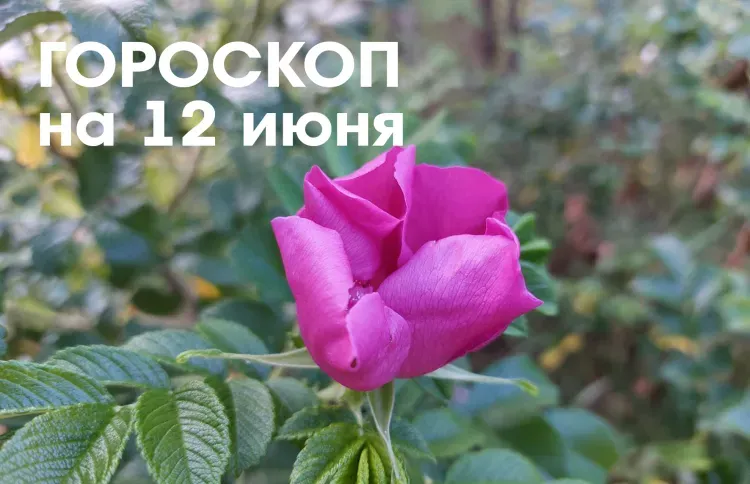 Гороскоп на 12 июня 2026 года: убывающая Луна в Тельце - в этот день можно смело запускать новые проекты