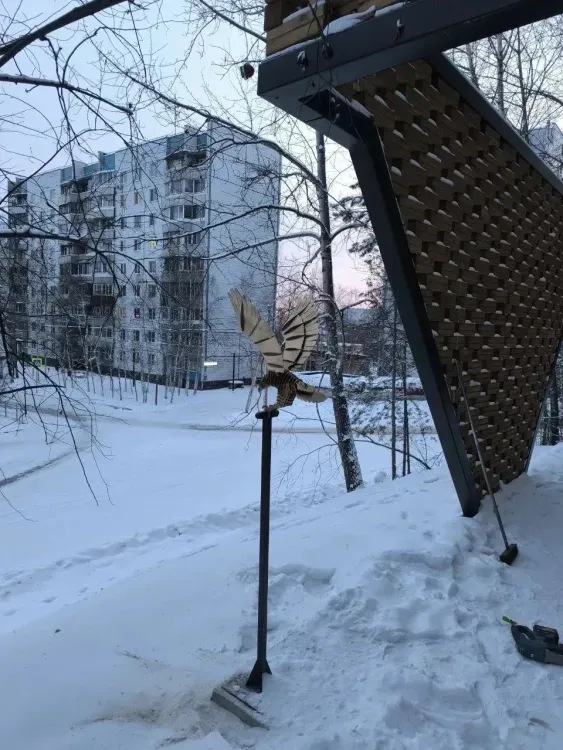 Орла украли с вершины сопки в Тынде