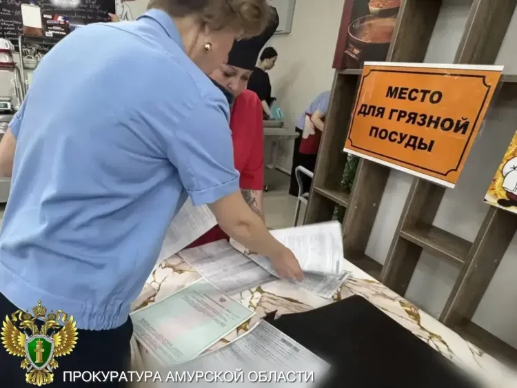 Антисанитария есть, медкнижек - нет: опасное для посетителей кафе закрыли в Приамурье