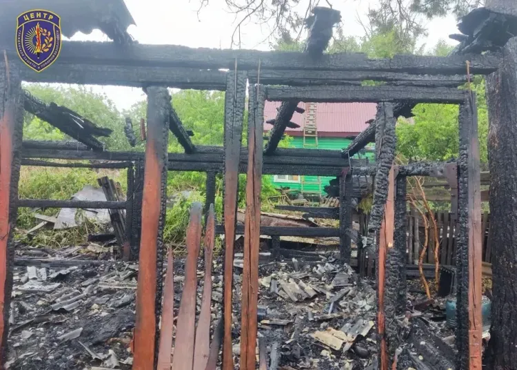 Молния ударила в дерево рядом с домом: пожар уничтожил постройку