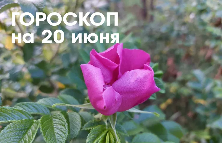 Гороскоп на 20 июня 2026 года: растущая Луна в Деве - день идеально подходит для смены места работы