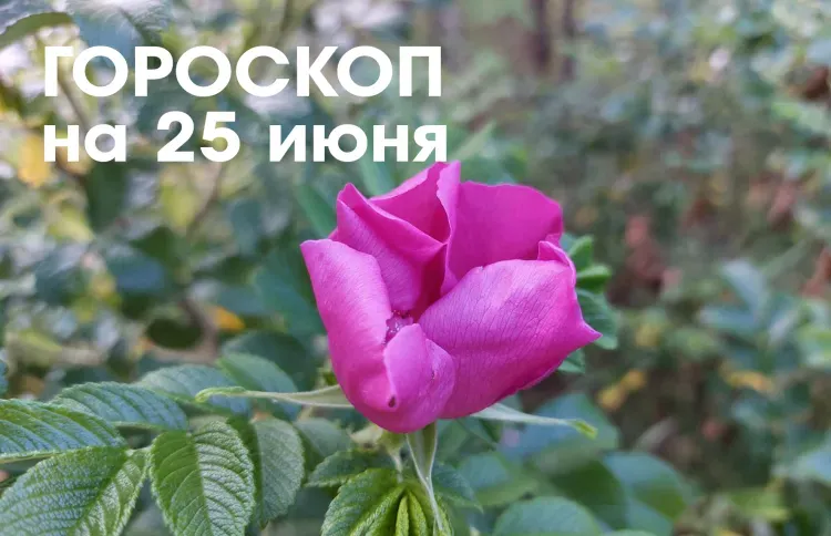 Гороскоп на 25 июня 2026 года: растущая Луна в знаке Скорпион - день удачен для решительных действий в работе и бизнесе