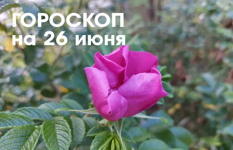 Гороскоп на 26 июня 2026 года: растущая Луна в знаке Скорпион и Стрелец - день включения космической энергии любви, очищения мыслей и успокоения