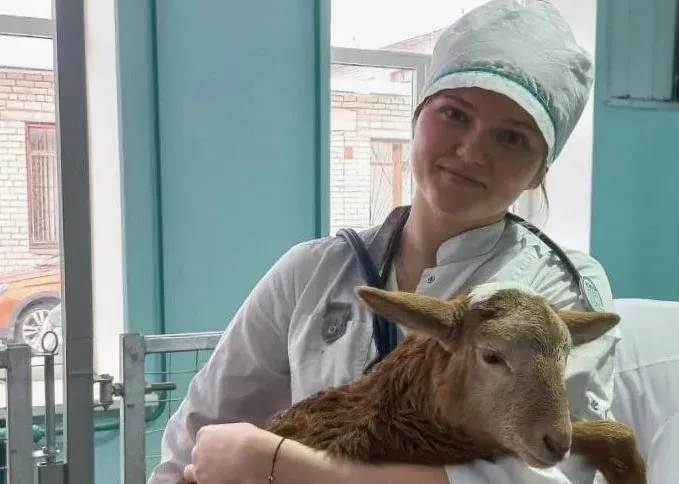 Будущие ветеринары все чаще идут на целевое обучение в Приамурье