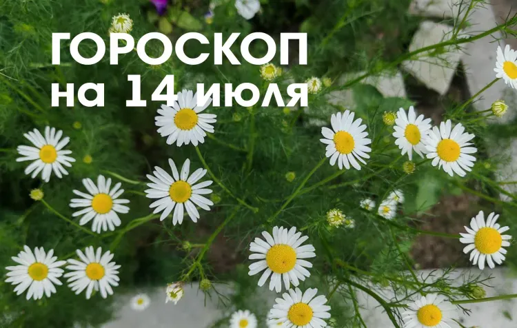 Гороскоп на 14 июля 2026 года: новолуние в знаке Рак - время для подведения итогов, внутренней работы и осторожности, а не для активных действий