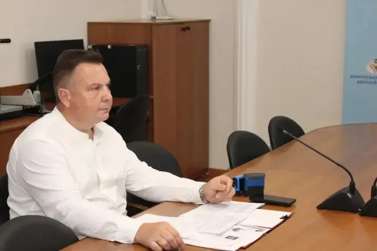 Выборы в Госдуму: еще один кандидат от Амурской области подал документы