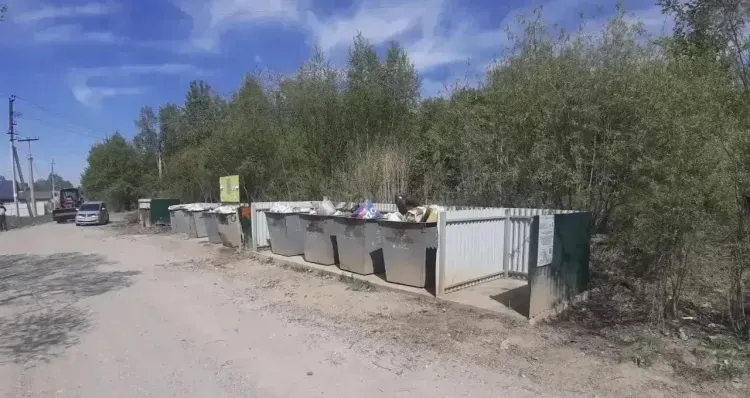 Новые контейнерные площадки и борьба с нарушениями: как наводят порядок в сфере ТКО