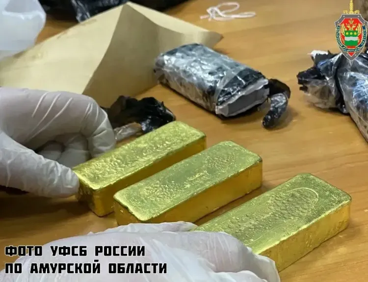 Суд вынес приговор за действия с золотом, найденным в мусоре