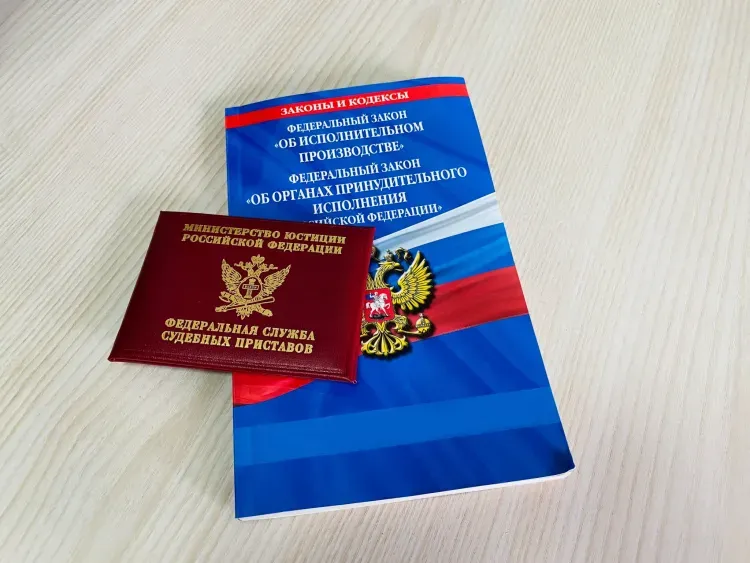 Отпуск за границей заставил должника по алиментам найти полмиллиона рублей за несколько дней