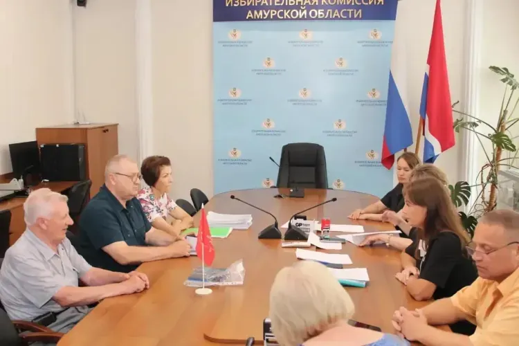 Шесть партий намерены войти в новый состав Законодательного собрания Приамурья