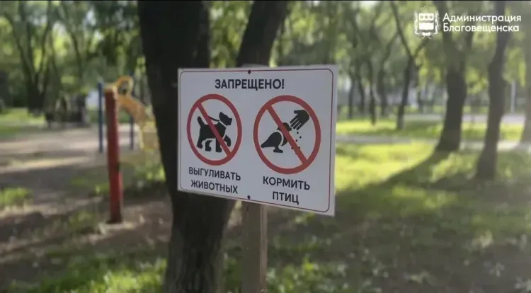 Урок не усвоен: в сквере поймали тех, кто снова выгуливал собак не по правилам