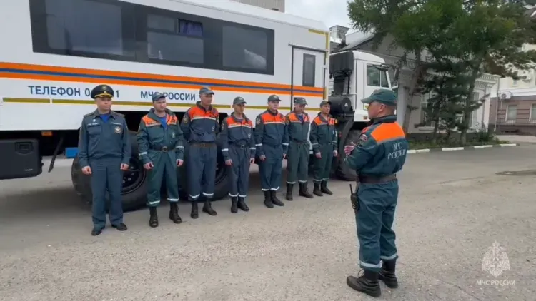 Спасатели и кинологи выехали на поиски заблудившегося в лесу грибника