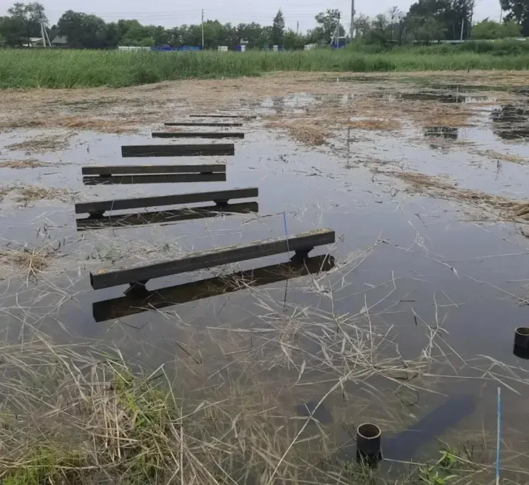 Затопленные подстанции и огороды: мощный ливень обесточил часть города