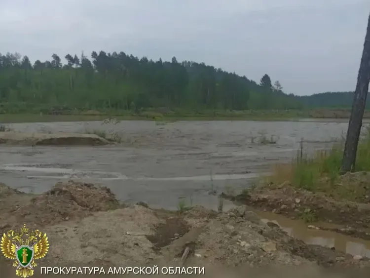 За вред ручью золотодобытчики заплатят миллионы рублей