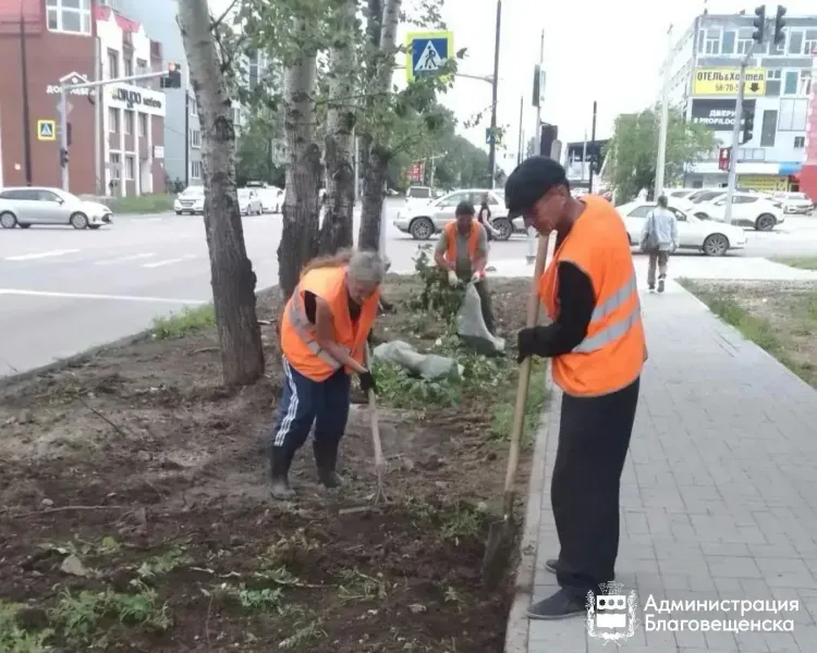 Ручной труд и гидропосев: более 16 тысяч квадратных метров газонов обновили в Приамурье