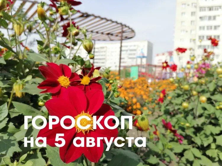 Гороскоп на 5 августа 2026 года: убывающая Луна в знаке Овна и Тельца - благоприятно общение как источник полезной информации