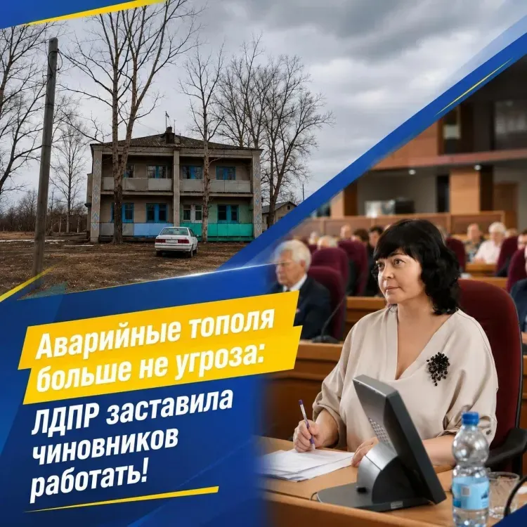 Аварийные тополя больше не угроза: ЛДПР заставила чиновников работать!