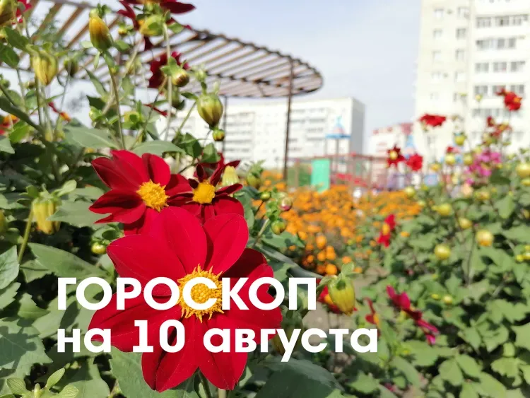 Гороскоп на 10 августа 2026 года: убывающая Луна в знаке Рака - рекомендуется воздержаться от крупных покупок или финансовых инвестиций