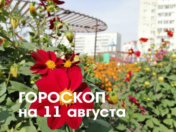 Гороскоп на 11 августа 2026 года: убывающая Луна в знаке Рака и Льва - день идеально подходит, чтобы начать здоровый образ жизни
