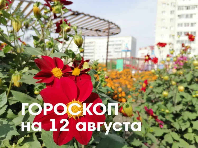 Гороскоп на 12 августа 2026 года: новолуние в знаке Льва - день довольно благосклонен к делам, связанным с инвестициями