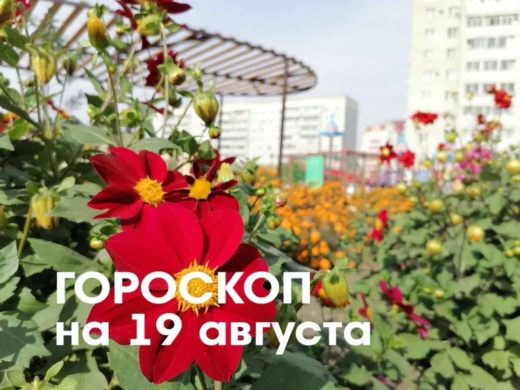 Гороскоп на 19 августа 2026 года: растущая Луна в знаке Скорпиона - рекомендуется избавляться от старых обид и негатива