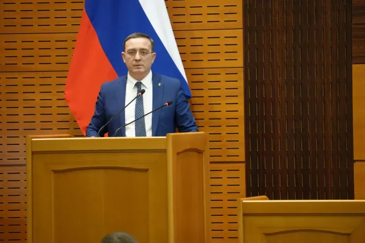 Амурское отделение «Единой России» утвердило программу на предстоящие выборы в Законодательное Собрание области