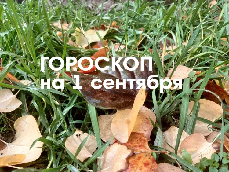 Гороскоп на 1 сентября 2026 года: день активности, новых начинаний и успешных дел